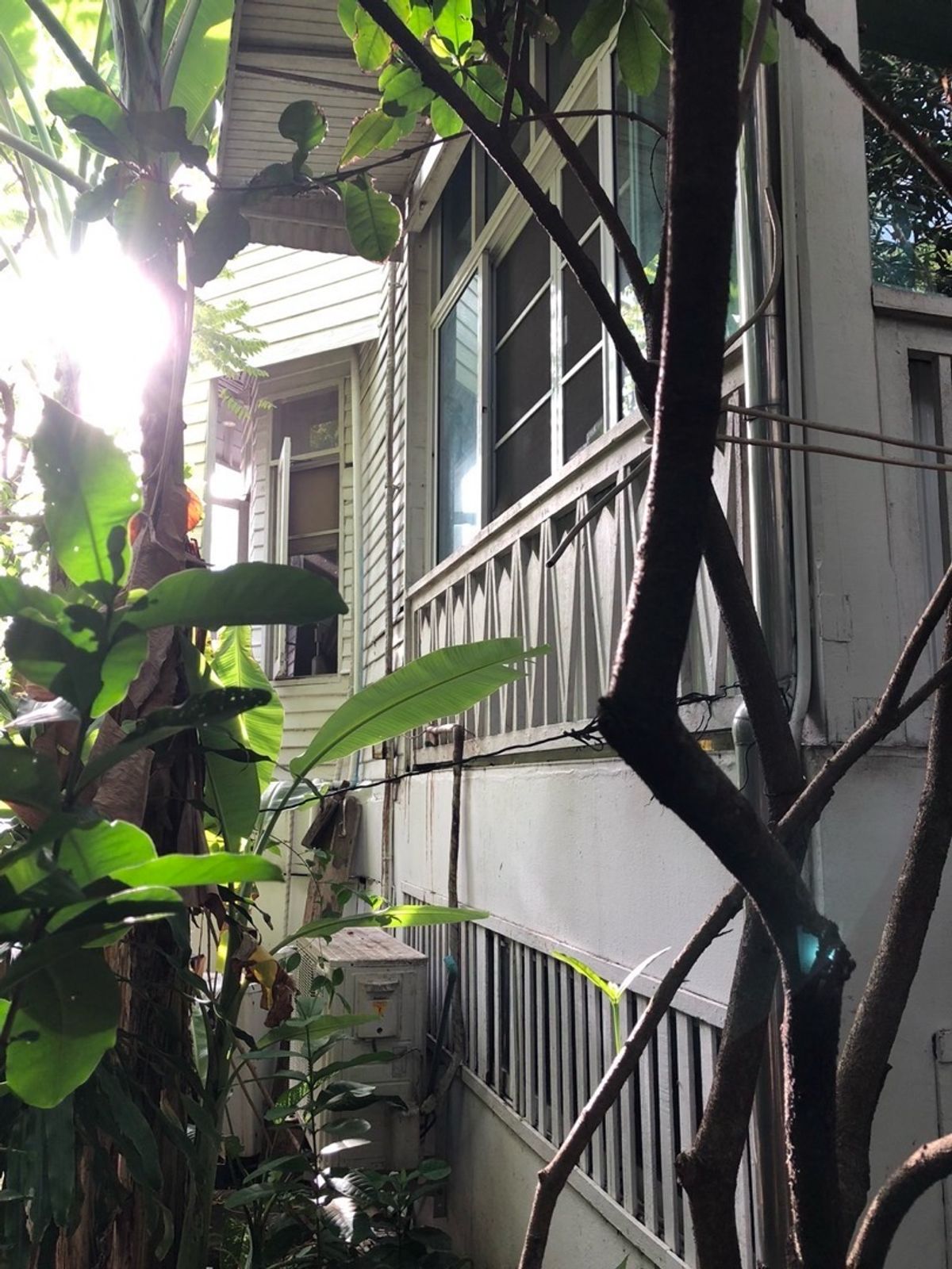 ขายที่ดินพุทธมณฑล ศาลายา : 📢👇ที่ดิน แปลงสวย พร้อมบ้าน 3 หลัง ริมคลองวัดโพธิ์ ต้นไม้ใหญ่บรรยากาศร่มรื่น เงียบสงบ ใกล้แหล่งท่องเที่ยว ตลาดน้ำคลองลัดมะยม และบางระมาด เหมาะพักอาศัย ทำที่พักHome stay ร้านอาหาร ร้านกาแฟ 