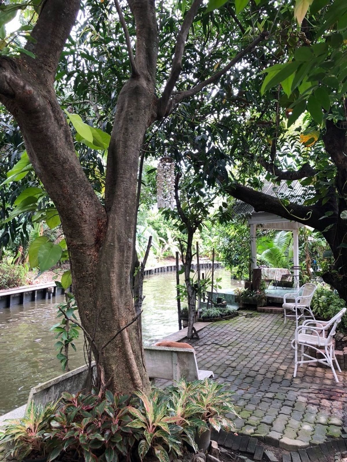 ขายที่ดินพุทธมณฑล ศาลายา : 📢👇ที่ดิน แปลงสวย พร้อมบ้าน 3 หลัง ริมคลองวัดโพธิ์ ต้นไม้ใหญ่บรรยากาศร่มรื่น เงียบสงบ ใกล้แหล่งท่องเที่ยว ตลาดน้ำคลองลัดมะยม และบางระมาด เหมาะพักอาศัย ทำที่พักHome stay ร้านอาหาร ร้านกาแฟ 