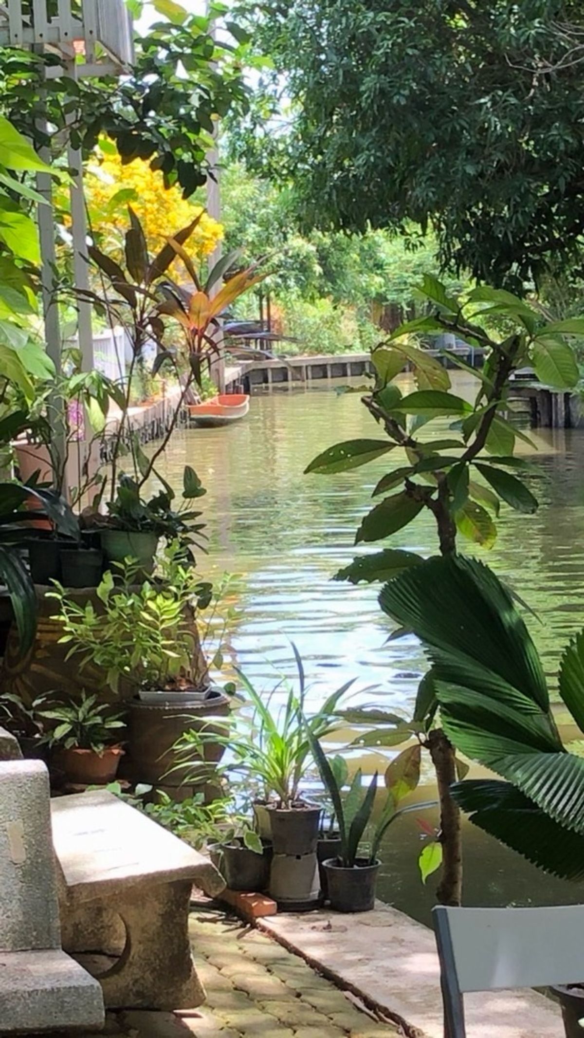 ขายที่ดินพุทธมณฑล ศาลายา : 📢👇ที่ดิน แปลงสวย พร้อมบ้าน 3 หลัง ริมคลองวัดโพธิ์ ต้นไม้ใหญ่บรรยากาศร่มรื่น เงียบสงบ ใกล้แหล่งท่องเที่ยว ตลาดน้ำคลองลัดมะยม และบางระมาด เหมาะพักอาศัย ทำที่พักHome stay ร้านอาหาร ร้านกาแฟ 