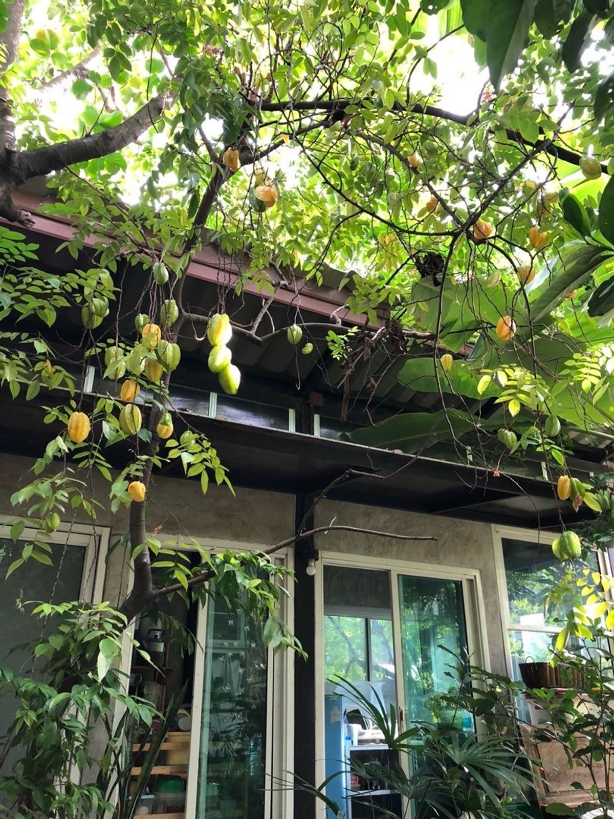 ขายที่ดินพุทธมณฑล ศาลายา : 📢👇ที่ดิน แปลงสวย พร้อมบ้าน 3 หลัง ริมคลองวัดโพธิ์ ต้นไม้ใหญ่บรรยากาศร่มรื่น เงียบสงบ ใกล้แหล่งท่องเที่ยว ตลาดน้ำคลองลัดมะยม และบางระมาด เหมาะพักอาศัย ทำที่พักHome stay ร้านอาหาร ร้านกาแฟ 