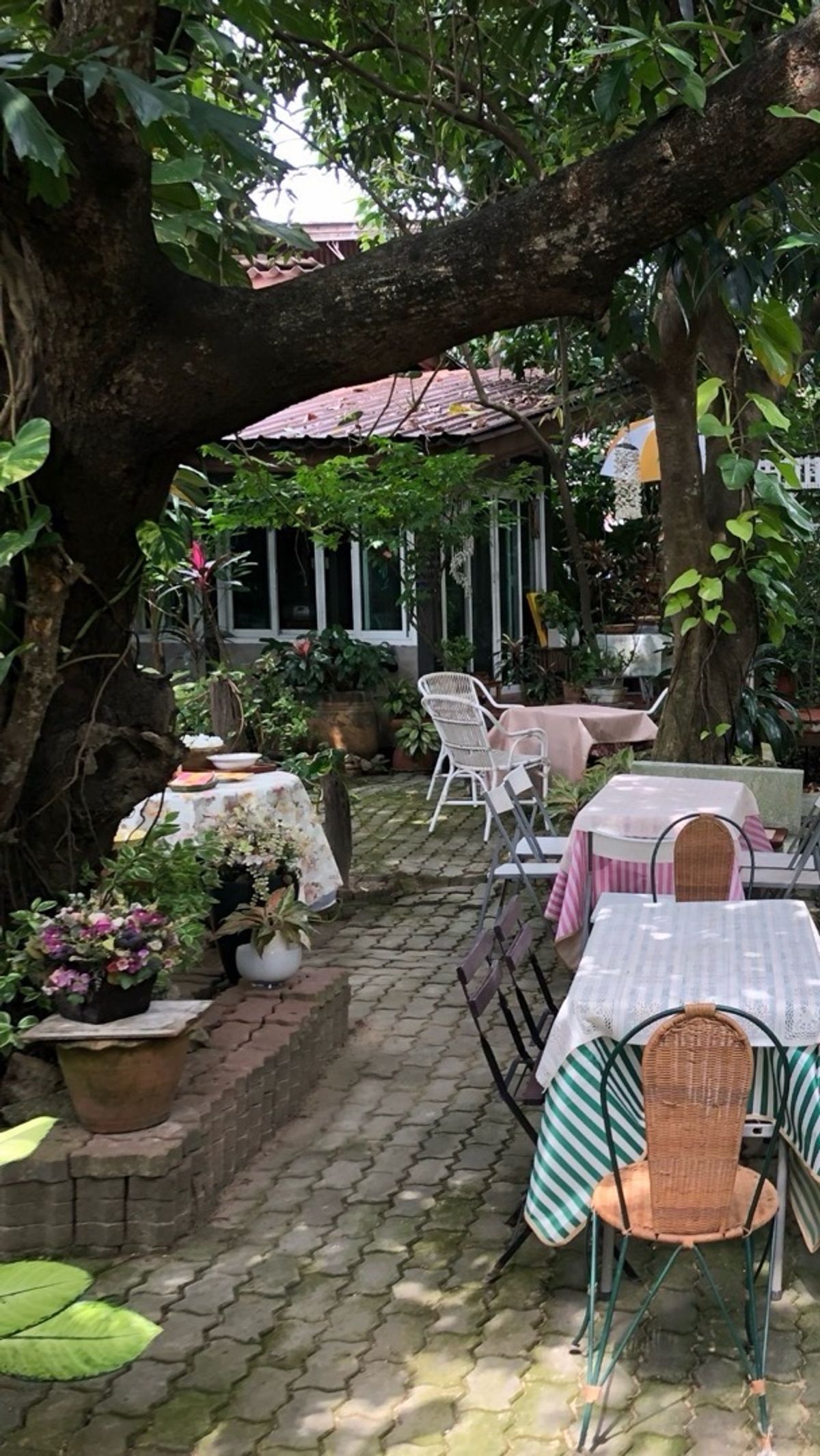 ขายที่ดินพุทธมณฑล ศาลายา : 📢👇ที่ดิน แปลงสวย พร้อมบ้าน 3 หลัง ริมคลองวัดโพธิ์ ต้นไม้ใหญ่บรรยากาศร่มรื่น เงียบสงบ ใกล้แหล่งท่องเที่ยว ตลาดน้ำคลองลัดมะยม และบางระมาด เหมาะพักอาศัย ทำที่พักHome stay ร้านอาหาร ร้านกาแฟ 