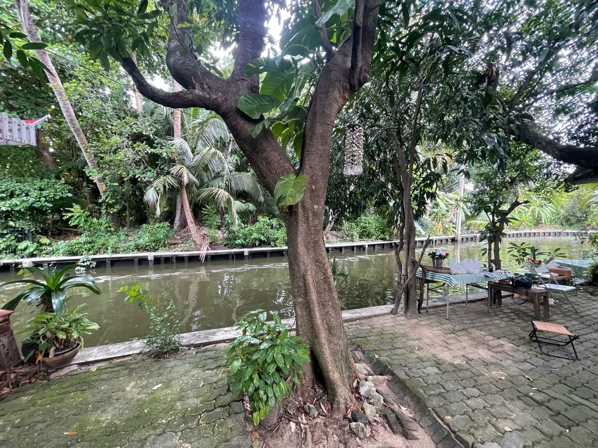 ขายที่ดินพุทธมณฑล ศาลายา : 📢👇ที่ดิน แปลงสวย พร้อมบ้าน 3 หลัง ริมคลองวัดโพธิ์ ต้นไม้ใหญ่บรรยากาศร่มรื่น เงียบสงบ ใกล้แหล่งท่องเที่ยว ตลาดน้ำคลองลัดมะยม และบางระมาด เหมาะพักอาศัย ทำที่พักHome stay ร้านอาหาร ร้านกาแฟ 