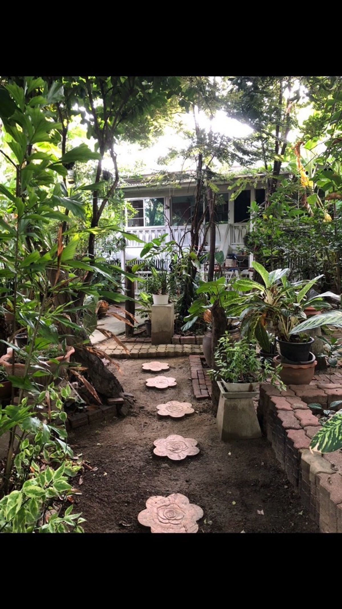 ขายที่ดินพุทธมณฑล ศาลายา : 📢👇ที่ดิน แปลงสวย พร้อมบ้าน 3 หลัง ริมคลองวัดโพธิ์ ต้นไม้ใหญ่บรรยากาศร่มรื่น เงียบสงบ ใกล้แหล่งท่องเที่ยว ตลาดน้ำคลองลัดมะยม และบางระมาด เหมาะพักอาศัย ทำที่พักHome stay ร้านอาหาร ร้านกาแฟ 