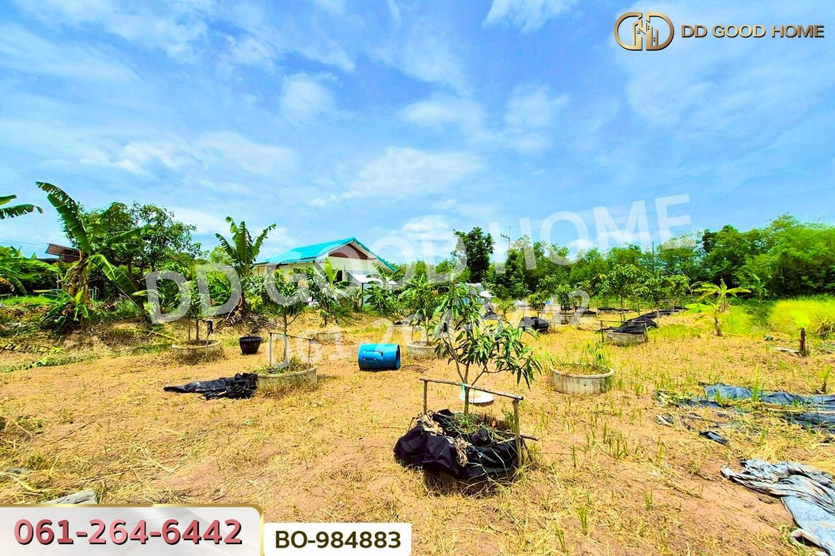 ขายที่ดินปทุมธานี รังสิต ธรรมศาสตร์ : BO-984883 ที่ดินหนองเสือ 60 ตร.ว. ปทุมธานี ใกล้โรงเรียนสารสาสน์วิเทศปทุมธานี