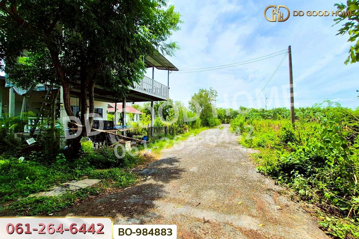 ขายที่ดินปทุมธานี รังสิต ธรรมศาสตร์ : BO-984883 ที่ดินหนองเสือ 60 ตร.ว. ปทุมธานี ใกล้โรงเรียนสารสาสน์วิเทศปทุมธานี