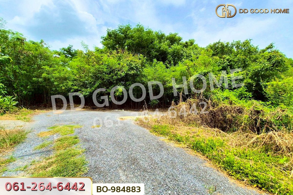 ขายที่ดินปทุมธานี รังสิต ธรรมศาสตร์ : BO-984883 ที่ดินหนองเสือ 60 ตร.ว. ปทุมธานี ใกล้โรงเรียนสารสาสน์วิเทศปทุมธานี