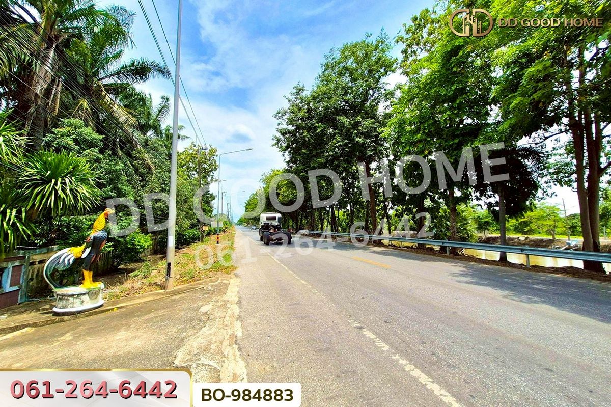 ขายที่ดินปทุมธานี รังสิต ธรรมศาสตร์ : BO-984883 ที่ดินหนองเสือ 60 ตร.ว. ปทุมธานี ใกล้โรงเรียนสารสาสน์วิเทศปทุมธานี