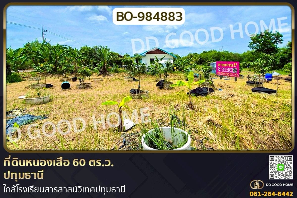 ขายที่ดินปทุมธานี รังสิต ธรรมศาสตร์ : BO-984883 ที่ดินหนองเสือ 60 ตร.ว. ปทุมธานี ใกล้โรงเรียนสารสาสน์วิเทศปทุมธานี