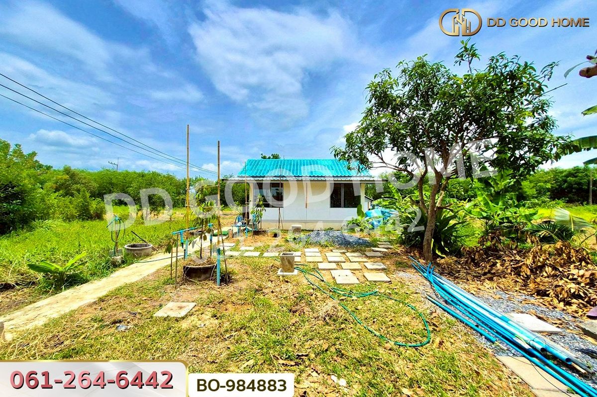 ขายที่ดินปทุมธานี รังสิต ธรรมศาสตร์ : BO-984883 ที่ดินหนองเสือ 60 ตร.ว. ปทุมธานี ใกล้โรงเรียนสารสาสน์วิเทศปทุมธานี