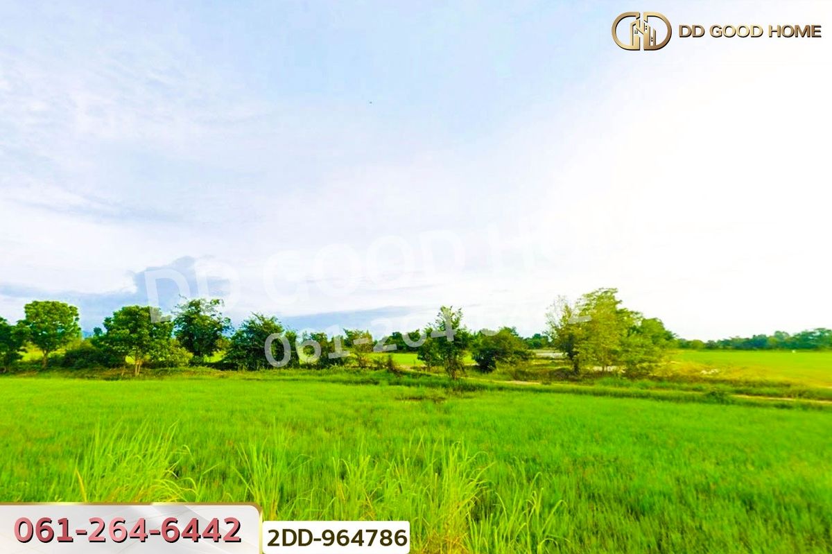 For SaleLandNakhon Sawan : 2DD-964786 Land in Phayuhakhiri, 20 rai, 191.1 sq wah, Nakhon Sawan