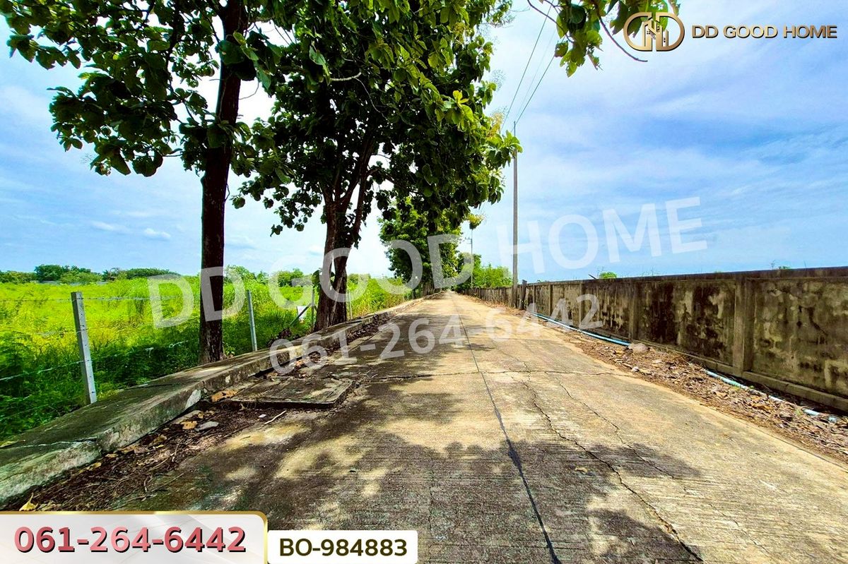 ขายที่ดินปทุมธานี รังสิต ธรรมศาสตร์ : BO-984883 ที่ดินหนองเสือ 60 ตร.ว. ปทุมธานี ใกล้โรงเรียนสารสาสน์วิเทศปทุมธานี