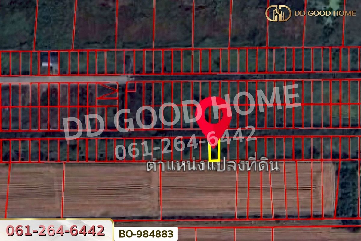 ขายที่ดินปทุมธานี รังสิต ธรรมศาสตร์ : BO-984883 ที่ดินหนองเสือ 60 ตร.ว. ปทุมธานี ใกล้โรงเรียนสารสาสน์วิเทศปทุมธานี