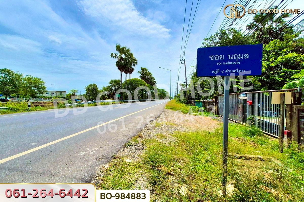 ขายที่ดินปทุมธานี รังสิต ธรรมศาสตร์ : BO-984883 ที่ดินหนองเสือ 60 ตร.ว. ปทุมธานี ใกล้โรงเรียนสารสาสน์วิเทศปทุมธานี