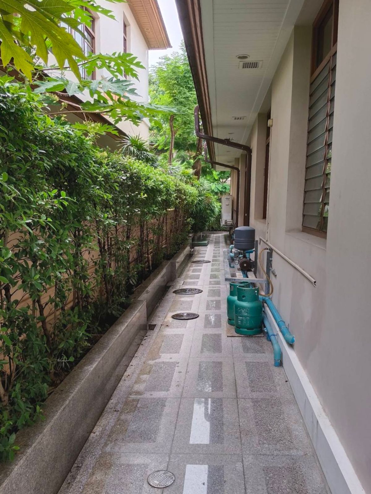 ให้เช่าบ้านอ่อนนุช อุดมสุข : บ้านเดี่ยว 4 ห้องนอนให้เช่า | Baan Sansiri Sukhumvit 67