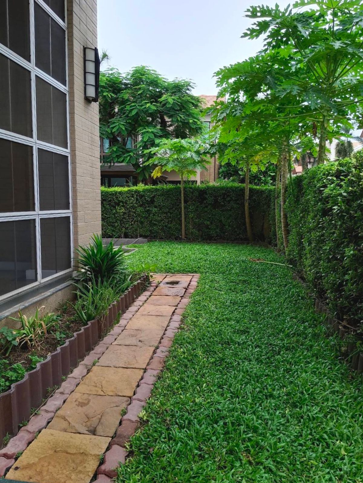 ให้เช่าบ้านอ่อนนุช อุดมสุข : บ้านเดี่ยว 4 ห้องนอนให้เช่า | Baan Sansiri Sukhumvit 67