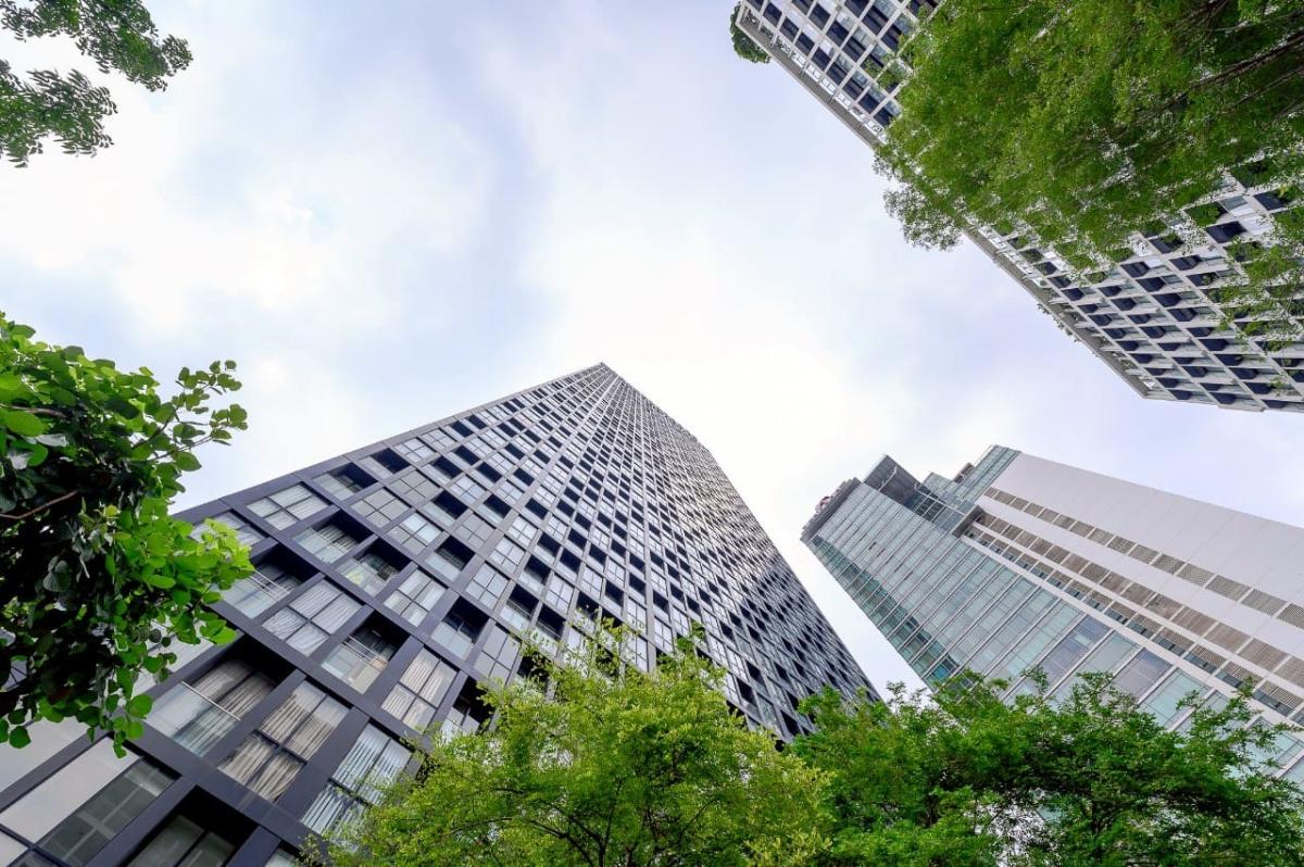 ขายคอนโดวิทยุ ชิดลม หลังสวน : 🔥 ขายด่วน +🔥Noble Ploenchit คอนโดสุดหรู ติด BTS เพลินจิต เพียง 1 ก้าวถึง❗