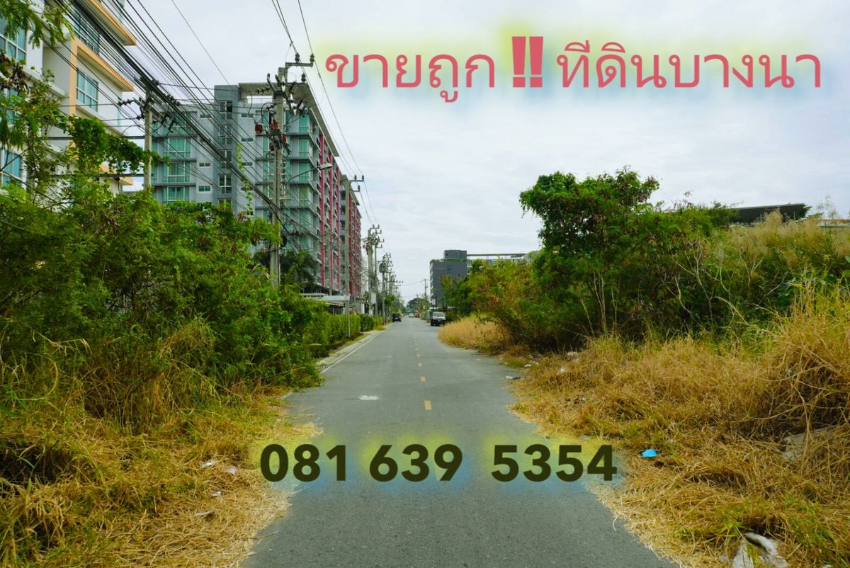 ขายที่ดินบางนา แบริ่ง ลาซาล : ✨ขายต่ำกว่าราคาตลาด✨  ที่ดิน ซอยเอแบค บางนา สมุทรปราการ 📍 ขนาด 3-0-41 ไร่ | หน้ากว้าง 80 เมตร | ผังเมืองสีแดง