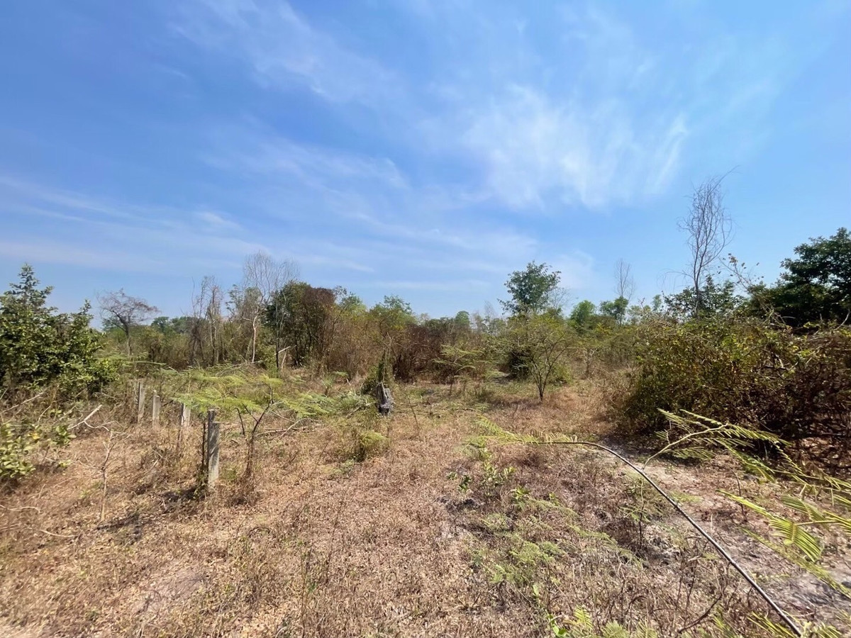 For RentLandNakhon Nayok : Land for rent in an area of ​​11-96 rai. There is a germination at Ongkharak District, Nakhon Nayok.