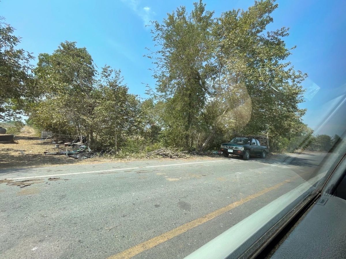 For RentLandNakhon Nayok : Land for rent in an area of ​​11-96 rai. There is a germination at Ongkharak District, Nakhon Nayok.