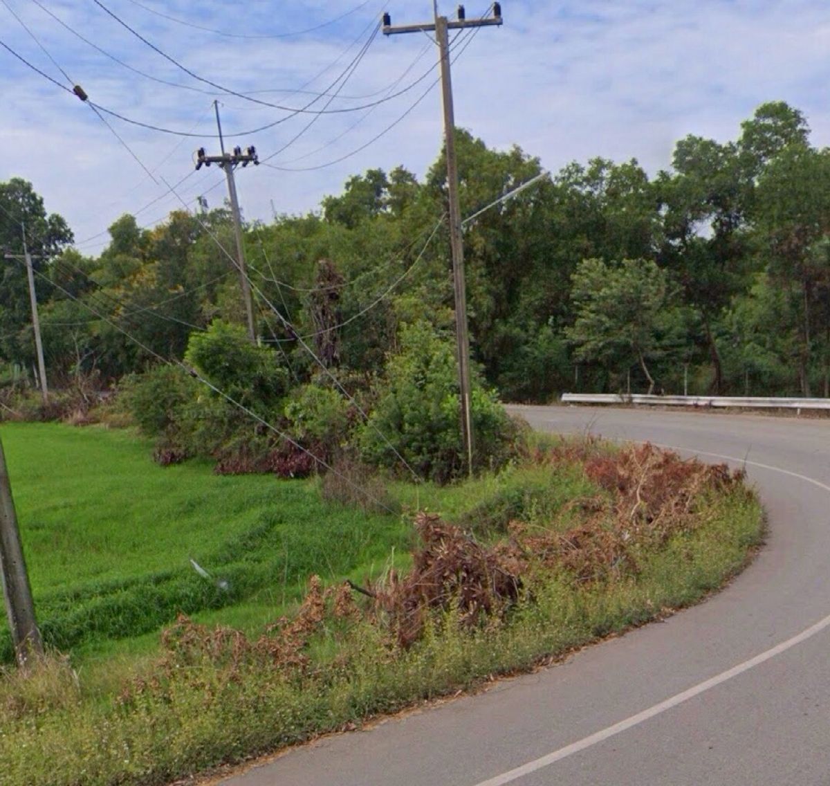 For RentLandNakhon Nayok : Land for rent in an area of ​​11-96 rai. There is a germination at Ongkharak District, Nakhon Nayok.