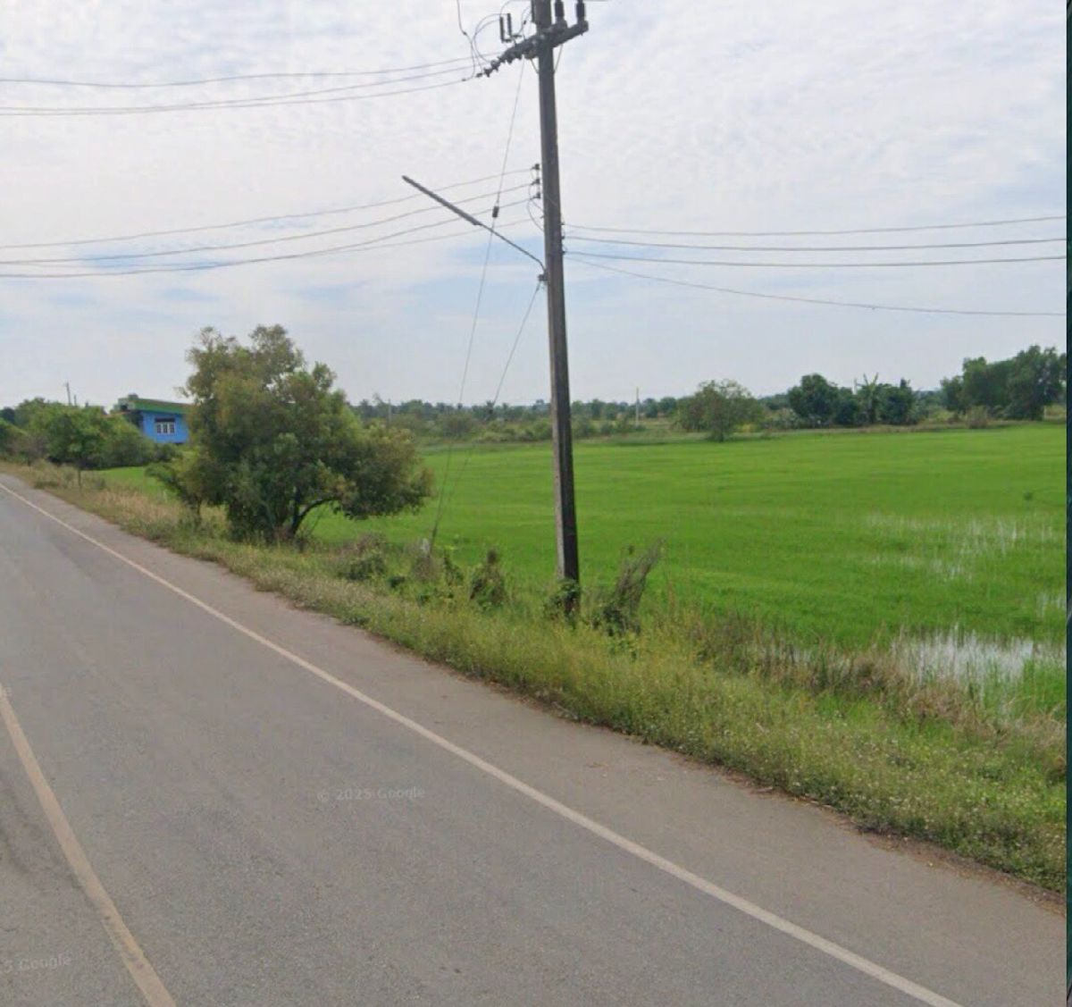 For RentLandNakhon Nayok : Land for rent in an area of ​​11-96 rai. There is a germination at Ongkharak District, Nakhon Nayok.