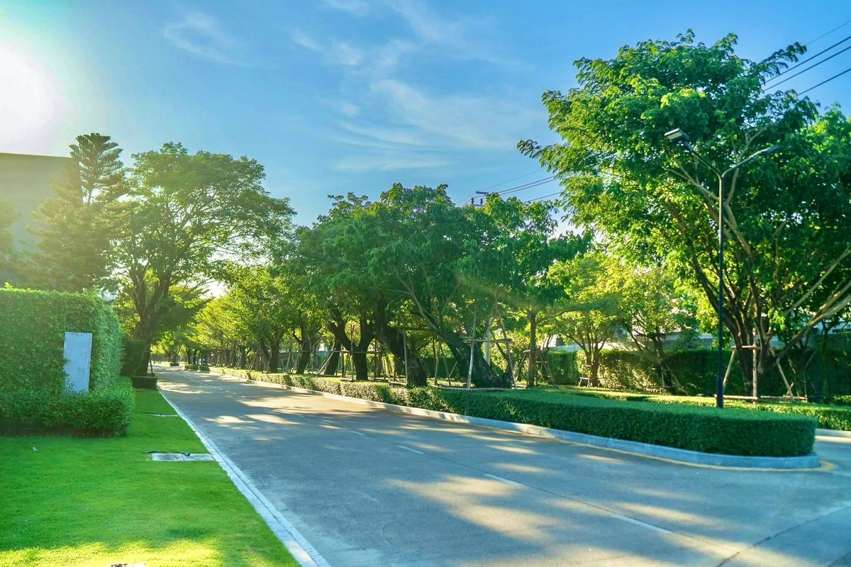 HousePattanakan, Srinakarin : ✨ Urgent sale Luxury luxury design, imported marble