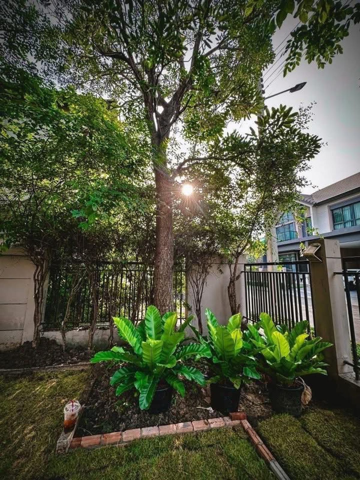 For RentHousePathum Thani,Rangsit, Thammasat : ✨ 2 -storey detached house, Luxury Nordic style