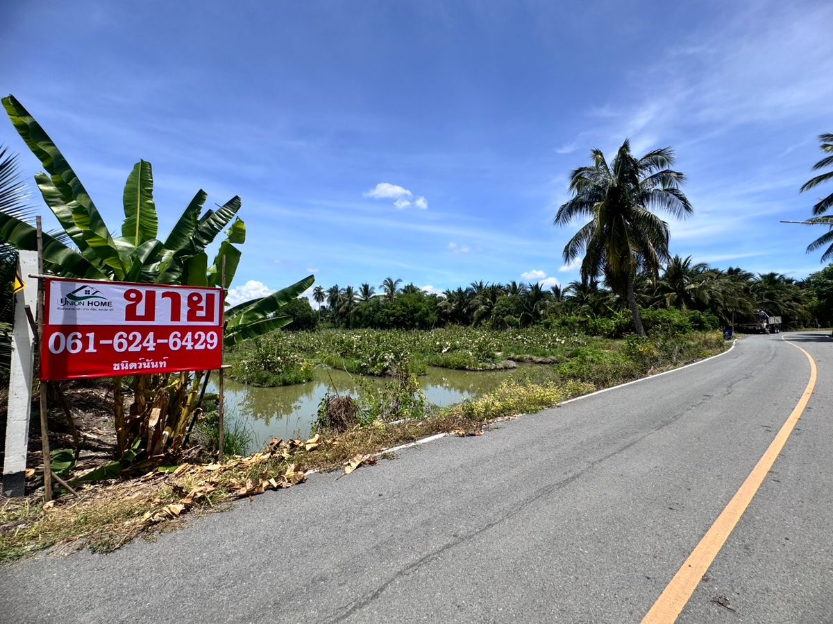 For SaleLandNakhon Pathom : Land for sale, fruit orchard, Sam Phran District, Khlong Chinda Subdistrict, Nakhon Pathom 25 Rai (N.1737)
