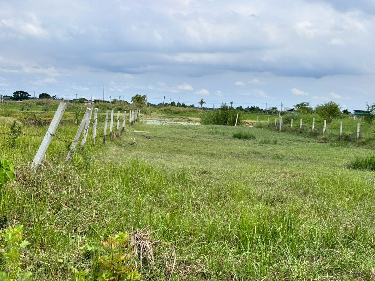 For SaleLandMin Buri, Romklao : Land for sale in Nong Chok 200 square wah (N.650)