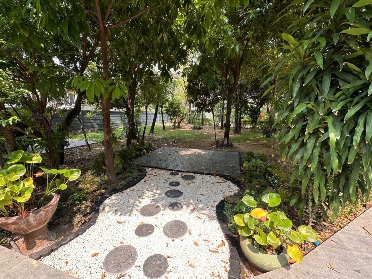 For RentRetail SpaceOnnut, Udomsuk : 340 square wah rental house for business Soi Pridi 14 Sukutwit 71 Phra Khanong, Bangkok, 15 car parks, Open Idea Business