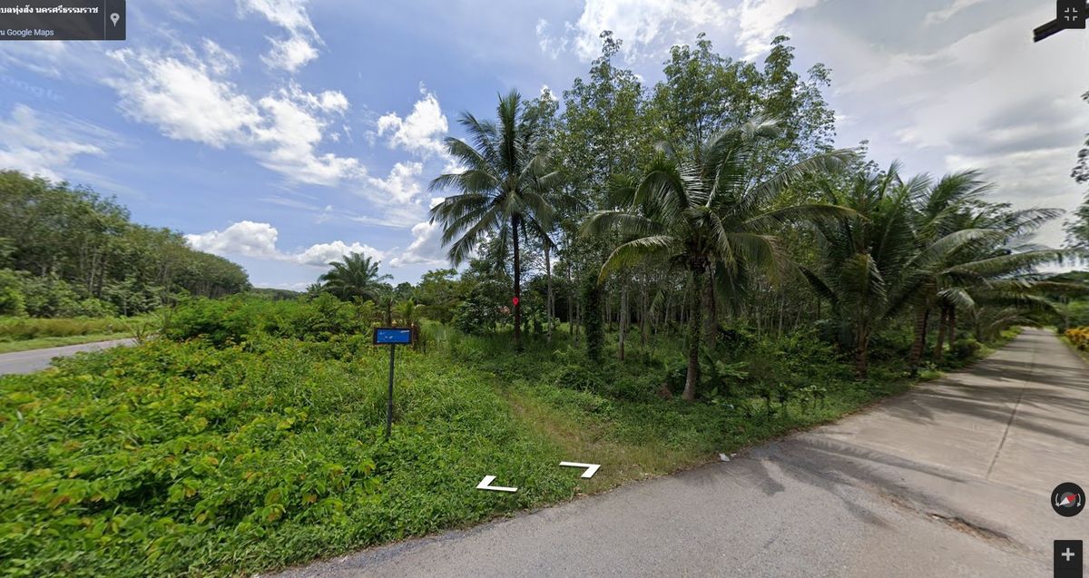 For SaleLandNakhon Si Thammarat : Land for sale with 21 rai of palm plantations, Thung Yai District, Nakhon Si Thammarat Province (N.689)