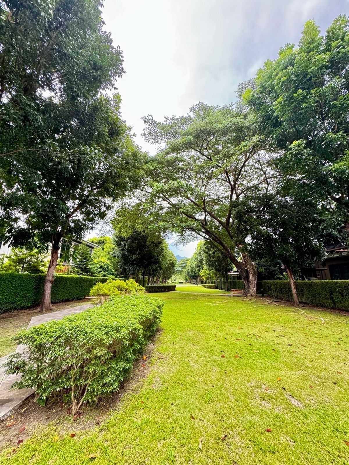 ขายบ้านสระบุรี : ขายบ้านพักตากอากาศ เขาใหญ่ พร้อมสระว่ายน้ำส่วนตัว  โครงการ ครีเอ้ เขาใหญ่