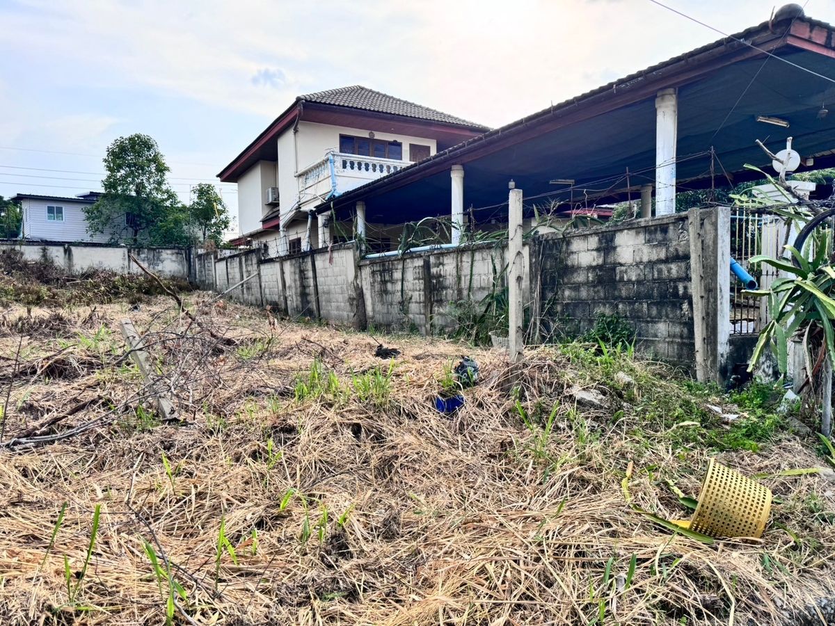 ขายที่ดินปทุมธานี รังสิต ธรรมศาสตร์ : ขายที่ดินใกล้มหาวิทยาลัยรังสิต เมืองปทุมธานี เมืองเอกรังสิต (โครงการ3) 136 ตร.ว. ถมแล้ว (N.1483)