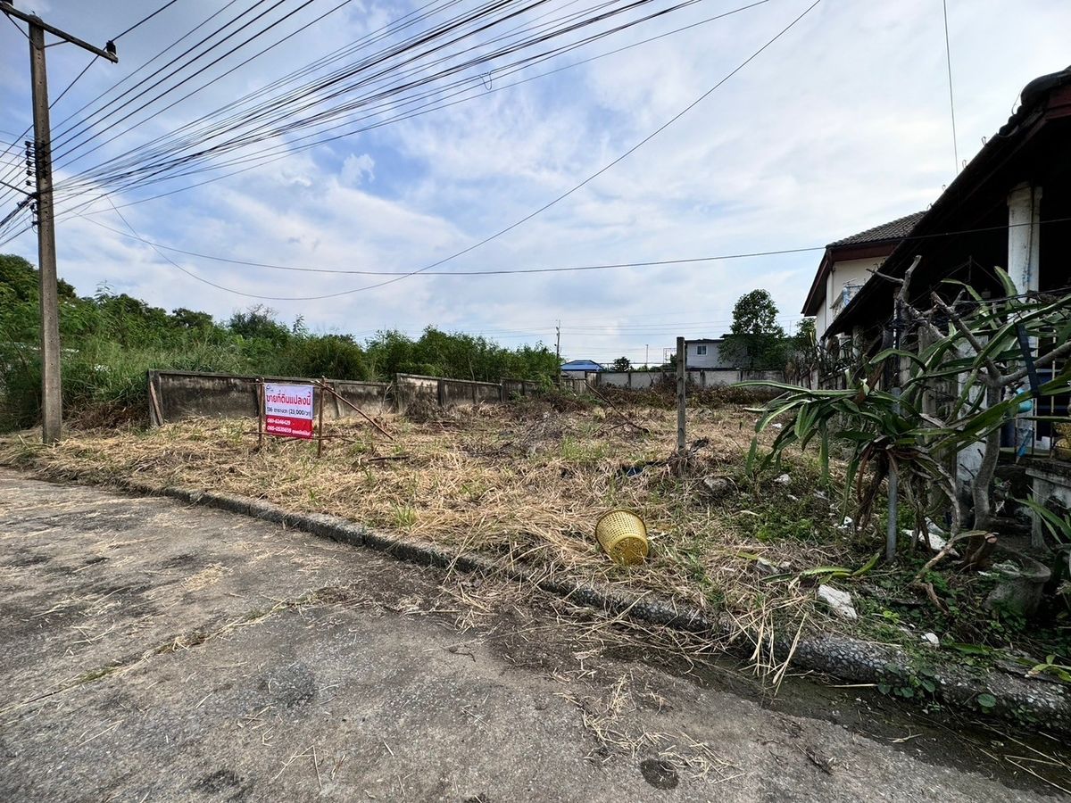 ขายที่ดินปทุมธานี รังสิต ธรรมศาสตร์ : ขายที่ดินใกล้มหาวิทยาลัยรังสิต เมืองปทุมธานี เมืองเอกรังสิต (โครงการ3) 136 ตร.ว. ถมแล้ว (N.1483)