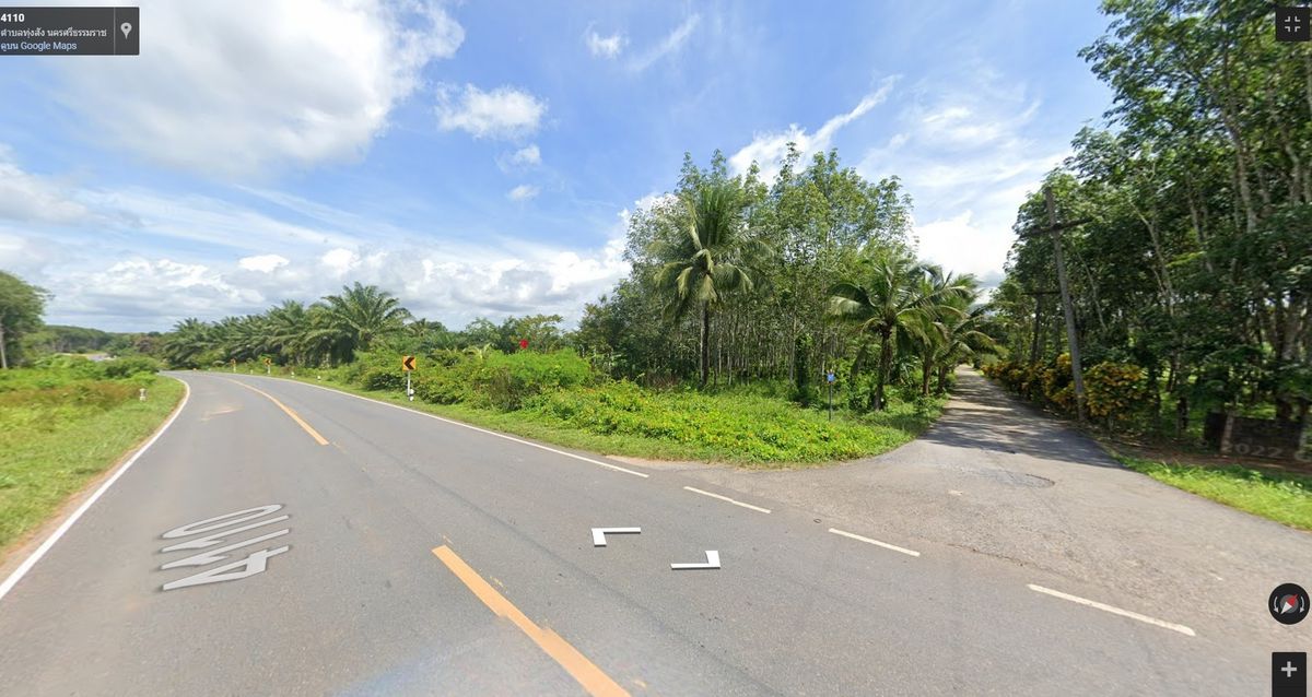 For SaleLandNakhon Si Thammarat : Land for sale with 21 rai of palm plantations, Thung Yai District, Nakhon Si Thammarat Province (N.689)