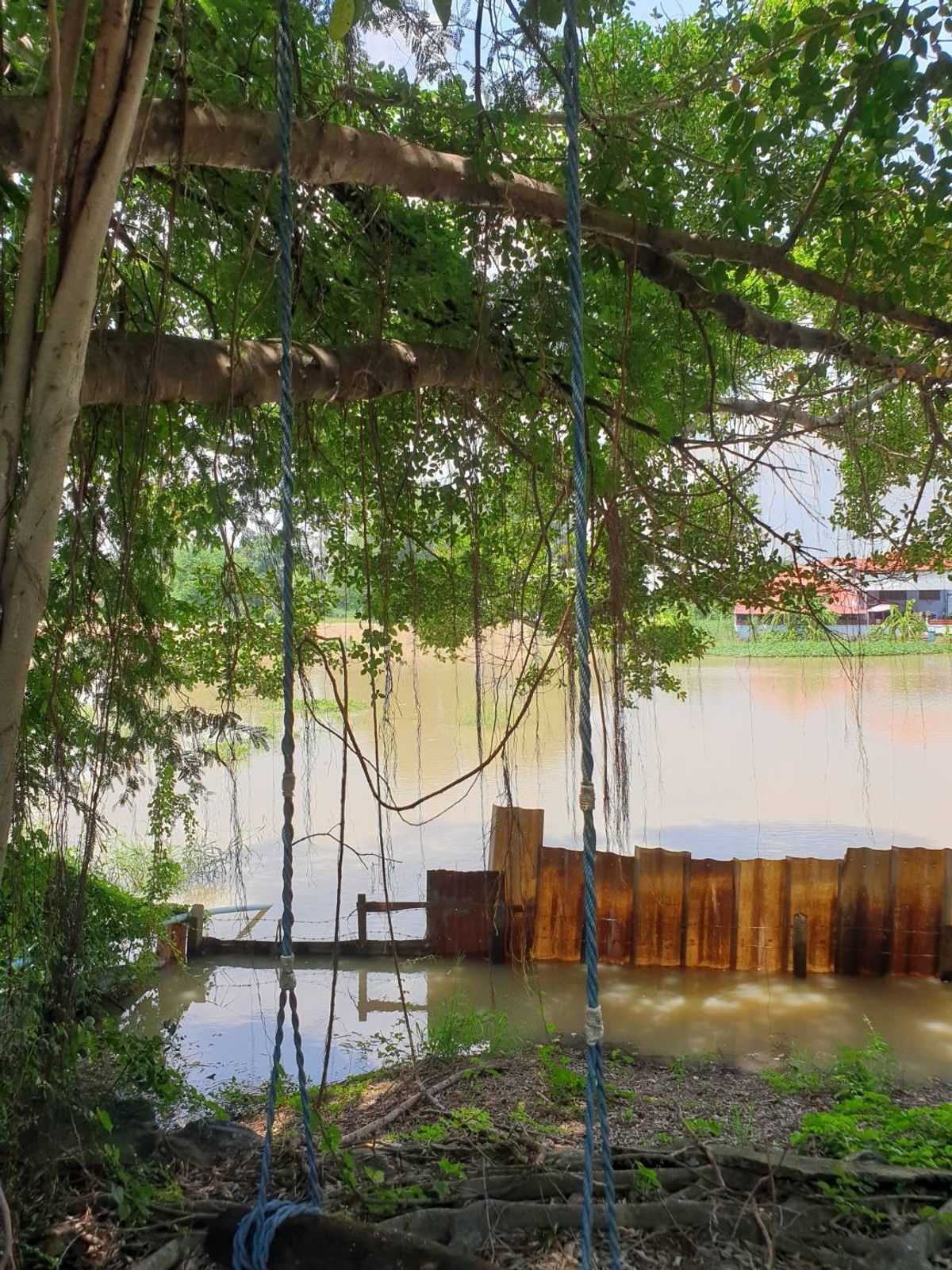 ขายบ้านสุพรรณบุรี : เรือนไทยหมู่ชุดใหญ่ไม้สัก รูปแบบมาตรฐาน ตกแต่งสไตล์รีสอร์ท 