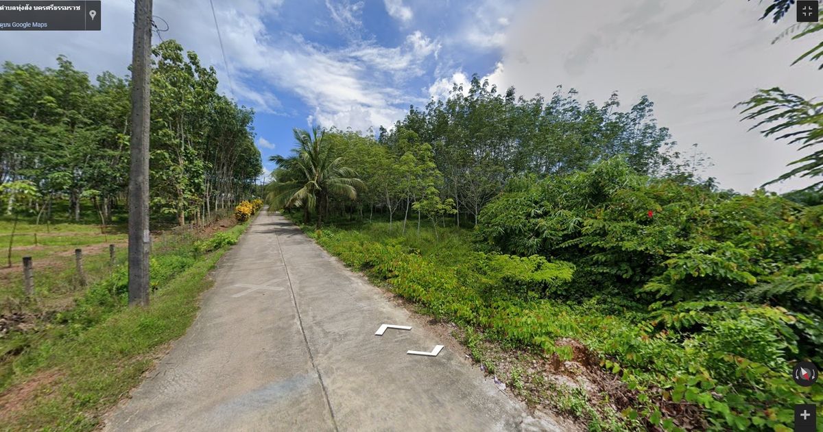 For SaleLandNakhon Si Thammarat : Land for sale with 21 rai of palm plantations, Thung Yai District, Nakhon Si Thammarat Province (N.689)