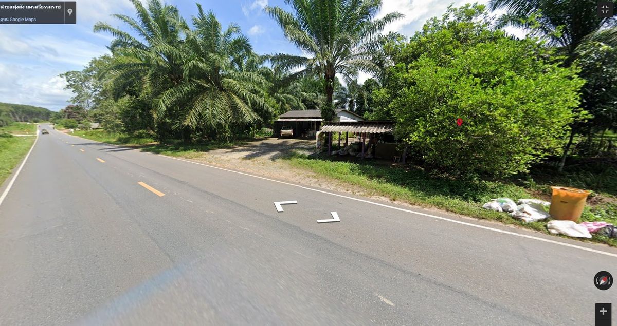 For SaleLandNakhon Si Thammarat : Land for sale with 21 rai of palm plantations, Thung Yai District, Nakhon Si Thammarat Province (N.689)