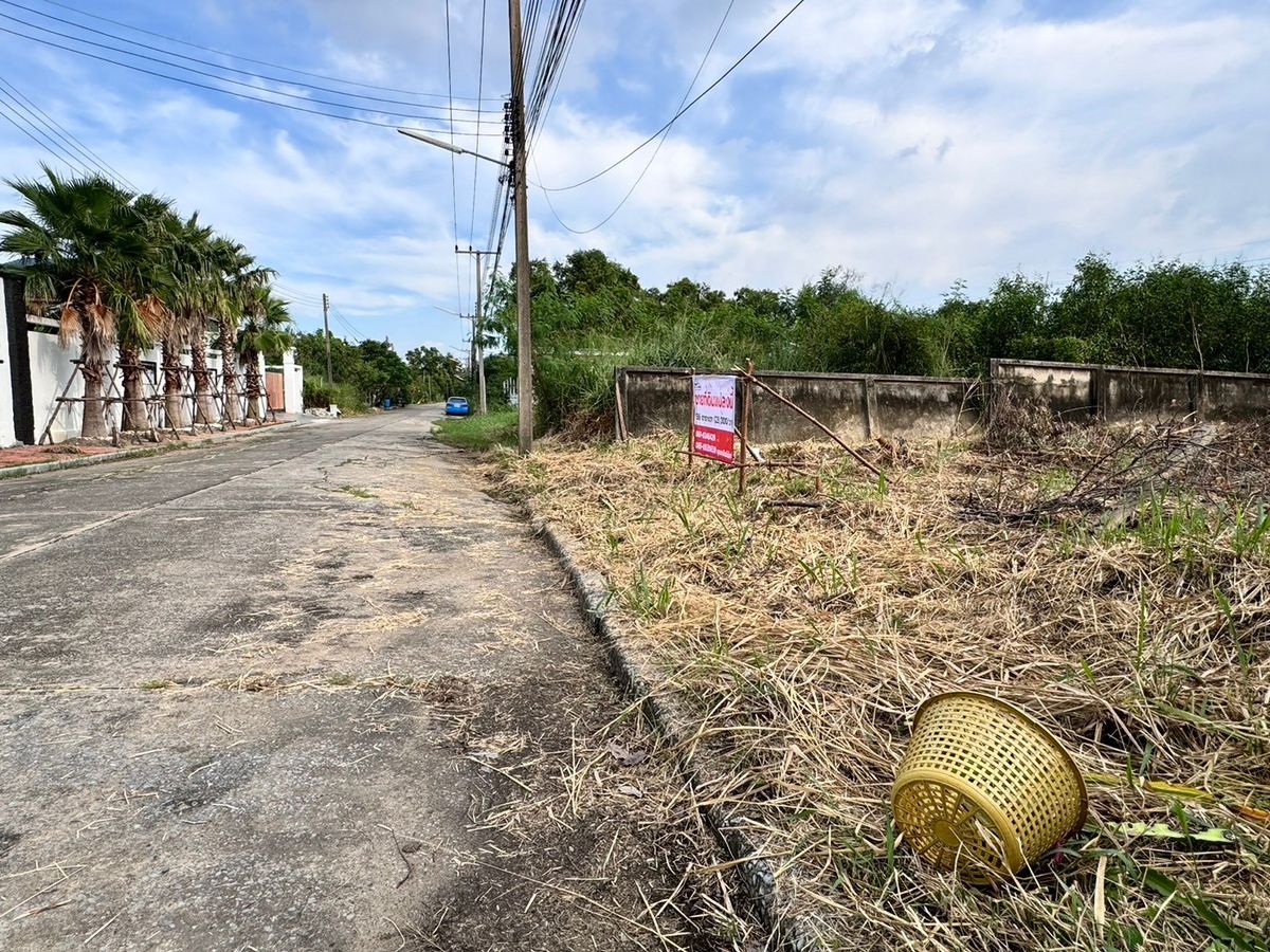 ขายที่ดินปทุมธานี รังสิต ธรรมศาสตร์ : ขายที่ดินใกล้มหาวิทยาลัยรังสิต เมืองปทุมธานี เมืองเอกรังสิต (โครงการ3) 136 ตร.ว. ถมแล้ว (N.1483)