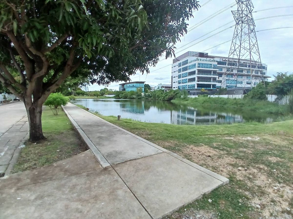 For RentHousePattanakan, Srinakarin : Rent a detached house, Phatthanakan 57, 319 sq.m. with a swimming pool and personal fisnet (N.934)