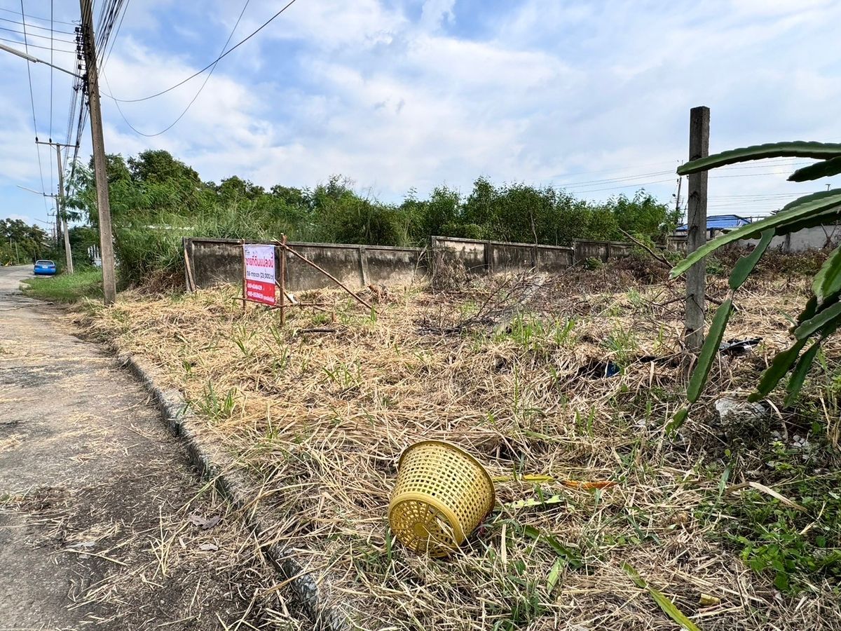 ขายที่ดินปทุมธานี รังสิต ธรรมศาสตร์ : ขายที่ดินใกล้มหาวิทยาลัยรังสิต เมืองปทุมธานี เมืองเอกรังสิต (โครงการ3) 136 ตร.ว. ถมแล้ว (N.1483)