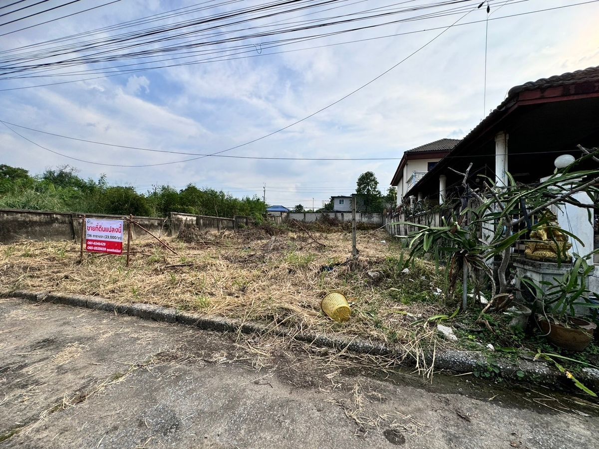 ขายที่ดินปทุมธานี รังสิต ธรรมศาสตร์ : ขายที่ดินใกล้มหาวิทยาลัยรังสิต เมืองปทุมธานี เมืองเอกรังสิต (โครงการ3) 136 ตร.ว. ถมแล้ว (N.1483)