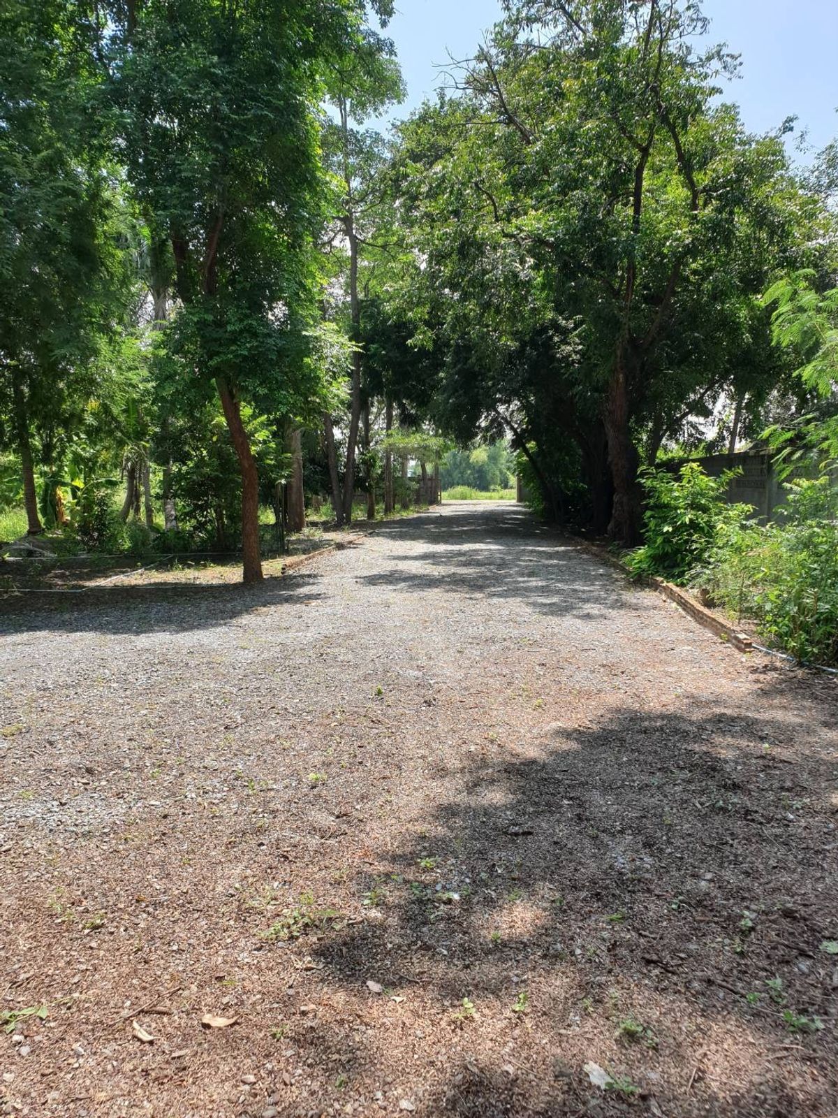 ขายบ้านสุพรรณบุรี : เรือนไทยหมู่ชุดใหญ่ไม้สัก รูปแบบมาตรฐาน ตกแต่งสไตล์รีสอร์ท 