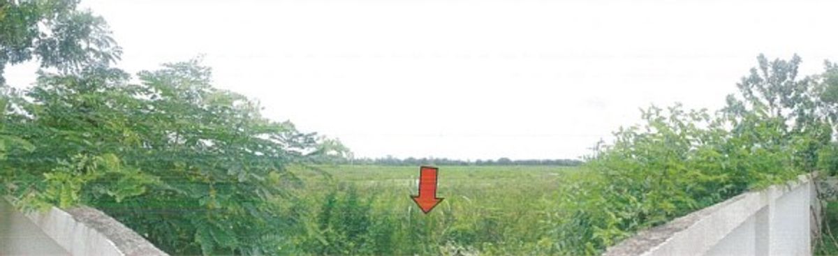 ขายที่ดินปราจีนบุรี : ขาย!! ที่ดินเปล่าติดถนนสายศรีมหาโพธิ-ศรีมโหสถ(ทล.3070) เนื้อที่ 1,100 ตรว.