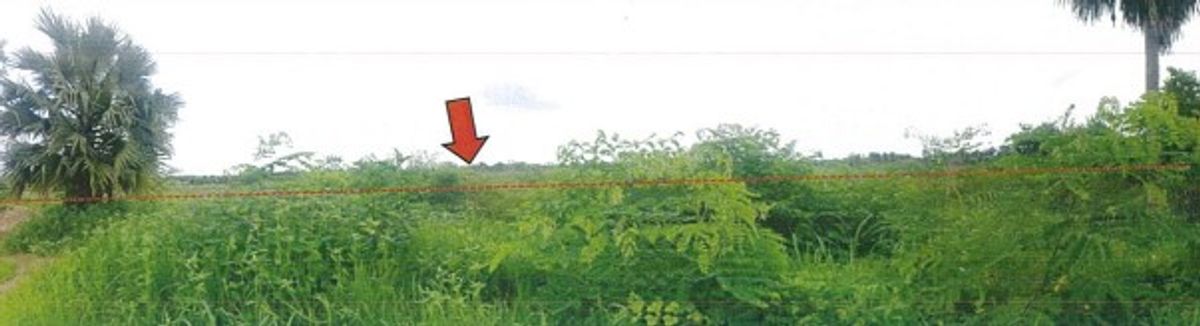 ขายที่ดินปราจีนบุรี : ขาย!! ที่ดินเปล่าติดถนนสายศรีมหาโพธิ-ศรีมโหสถ(ทล.3070) เนื้อที่ 1,100 ตรว.