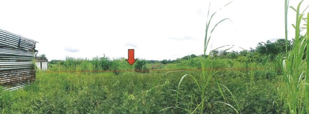 ขายที่ดินปราจีนบุรี : ขาย!! ที่ดินเปล่าติดถนนสายศรีมหาโพธิ-ศรีมโหสถ(ทล.3070) เนื้อที่ 1,100 ตรว.