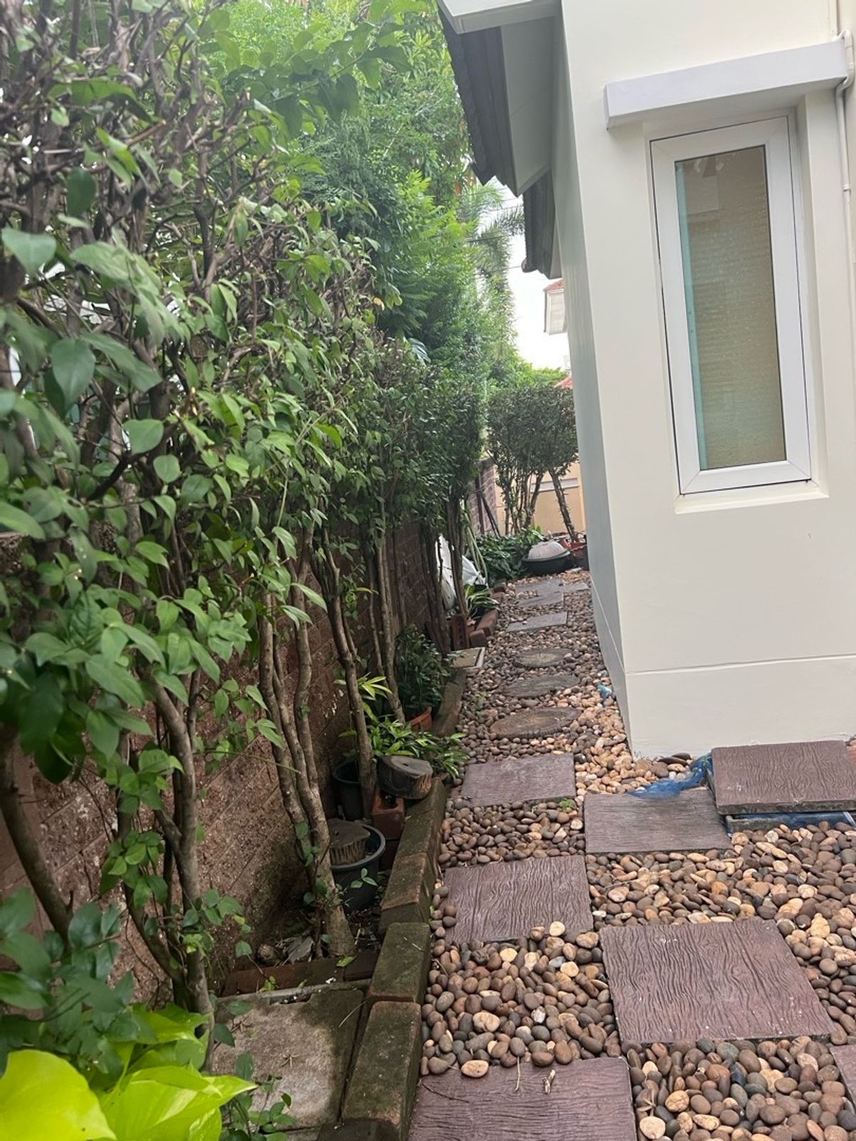 For RentHouseNonthaburi, Bang Yai, Bangbuathong : Rent a single house, new condition, peaceful, lovely neighbors Never rented Kasai Ville Ratchaphruek-Rattanathibet 2 Nonthaburi