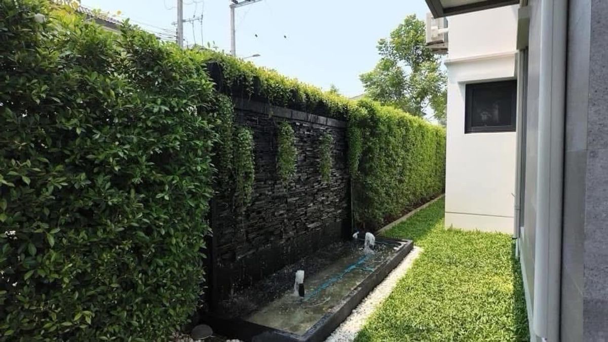 ให้เช่าบ้านบางนา แบริ่ง ลาซาล : 📢 ขาย & ให้เช่าด่วน | บ้านเดี่ยวแปลงมุม ติดถนนหลัก ราคาดีที่สุดในโครงการ | The City บางนา | ฮวงจุ้ยดี | ใกล้ Mega Bangna