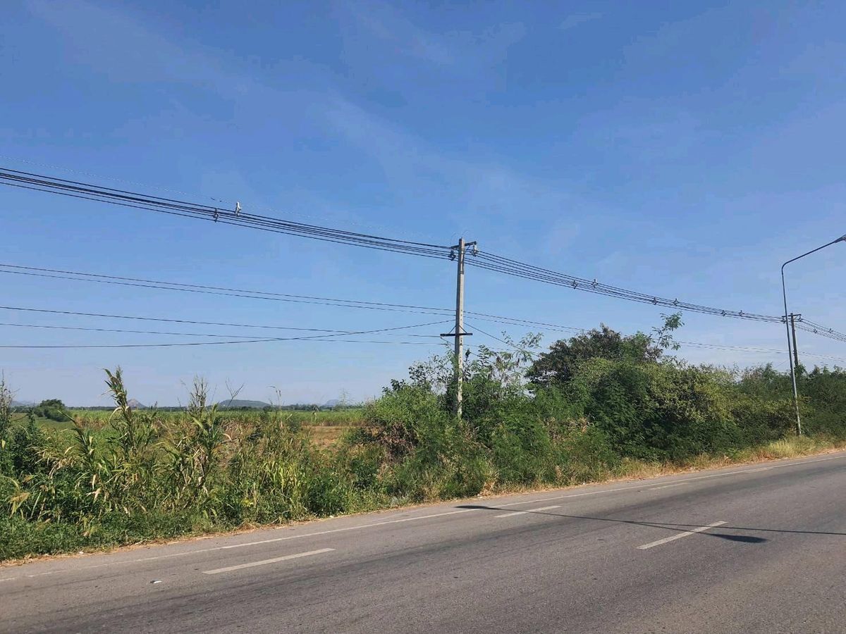 ขายที่ดินลพบุรี : ขายด่วนที่ดินติดถนนสุรนารายณ์