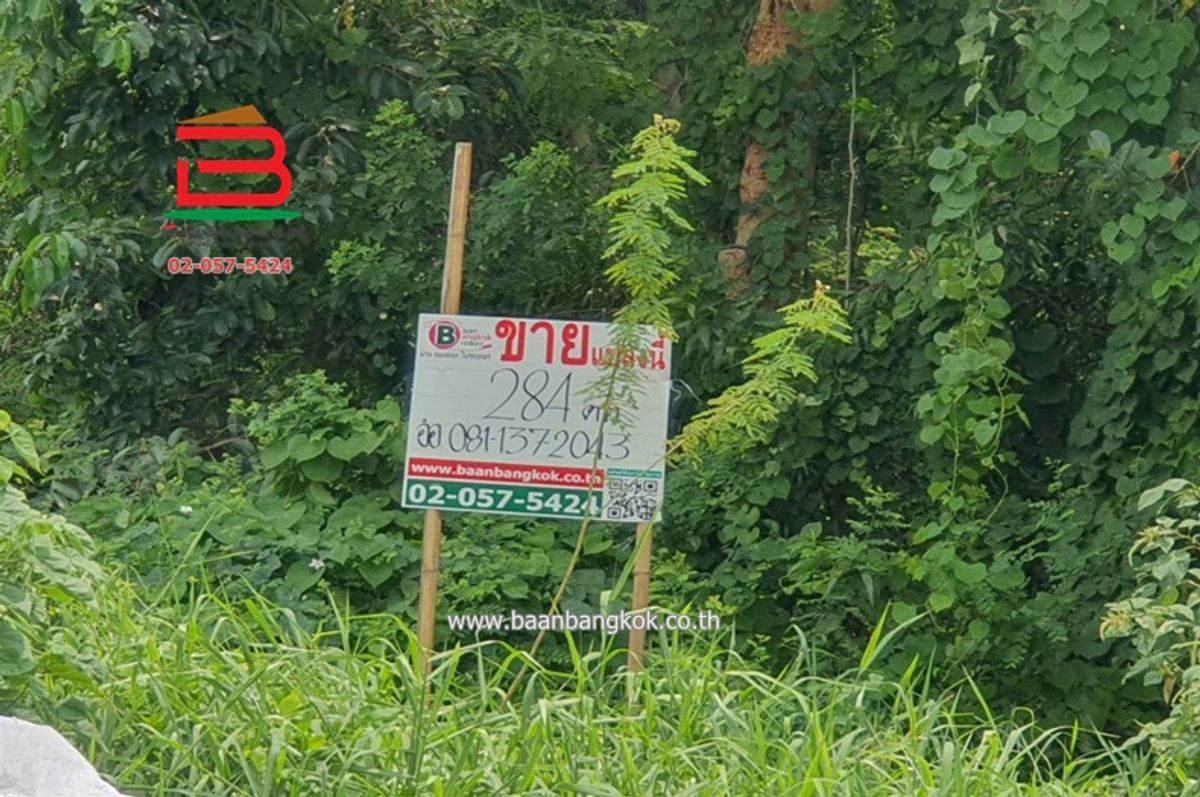 ขายที่ดินปทุมธานี รังสิต ธรรมศาสตร์ : ที่ดินเปล่า หมู่บ้าน ฟีนิกซ์ ปาร์ค ซอยไอยรา 28 เนื้อที่ 284 ตรว. ถนนไอยรา ตำบลคลองสอง อำเภอคลองหลวง จังหวัดปทุมธานี